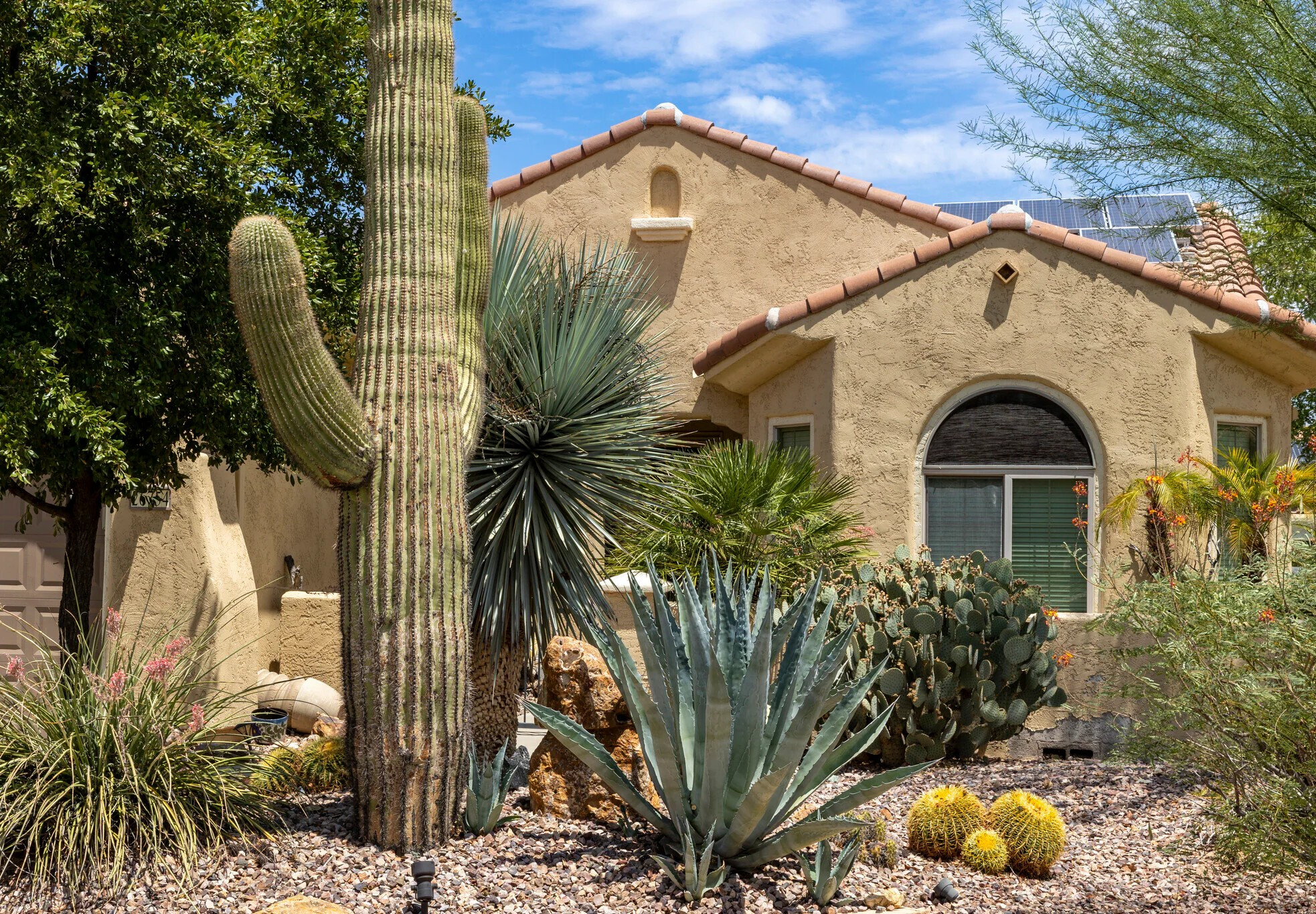 Beautiful Buckeye Arizona community